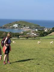 Looking back to Burgh Island